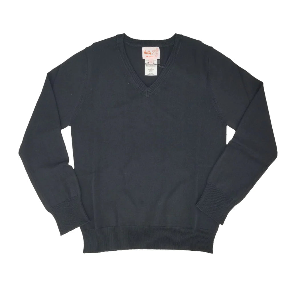 TAG HS Logo Viscose Vneck Sweater